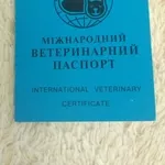 Продам Международный Ветеринарный Паспорт