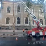 Профессиональная обрезка деревьев. Снос,  валка,  удаление деревьев, пней