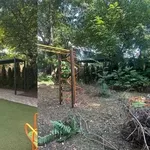 Уборка заброшек,  расчистка участков быстро аккуратно