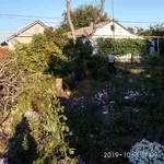 Спилим обрежем деревья,  удалим поросли