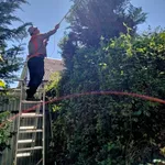 Садовник,  обрезка сада,  садовых деревьев,  уход за садом Одеса