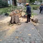 Корчевание пней.обрезка деревьев, сада, спил дерева, уборка территории, участка Одеса