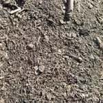 Закупаем деловой сор и отходы зерновых.