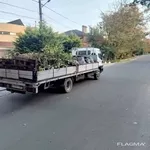  Спил дерева,  покос травы ,  расчистка участков вывоз мусора