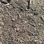 Куплю деловые отходы подсолнечника,  рапса. Скупка сора.