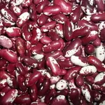 Якісна квасоля для гуртових покупців та експортерів