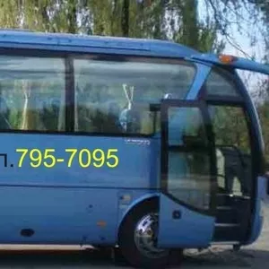 Аренда автобуса одесса,  аренда микроавтобусов Одесса,  трансфер