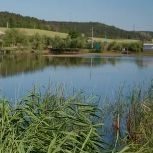 Рыбалка и охота Одесская область Дашкины пруды