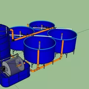 Домашняя осетровая ферма 600 кг.