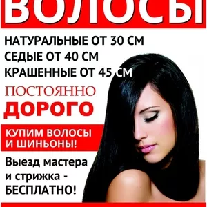 Покупаем волосы и шиньоны!