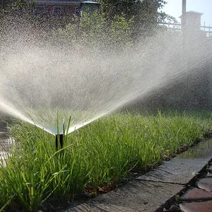 Устройство систем автоматического полива газонов и растений
