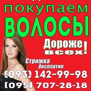 Волосы волосы Одесса Скупка волос в Одессе дороже всех покупаем волосы