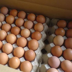 Недорого куриные яйца категории c-1 и с-0