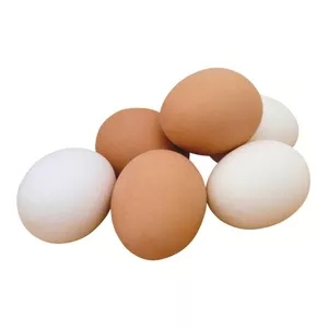 КУПЛЮ в большом количестве куриные яйца С-1 и отборные С-0