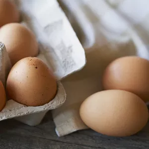 Куплю куриное яйцо в большом колmичестве