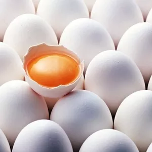 Недорого крассивые белые куриные яйца категории c-0 и с-1