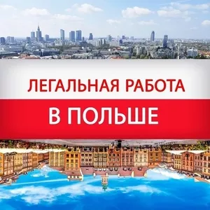 Работа в Польше и других странах ЕС для украинцев