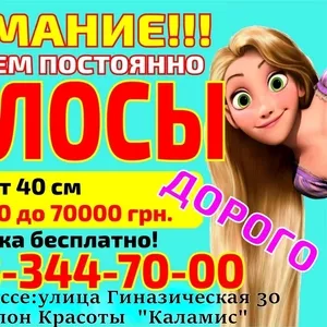 Куплю Продать волосы в Одессе дорого