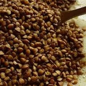 Насіння гречки. Очищене,  каліброване,  готове до посіву