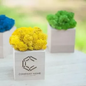 Промо-сувеніри. Кашпо зі стабілізованим мохом