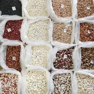 Продаж сортової квасолі від 5 тонн з доставкою по Україні