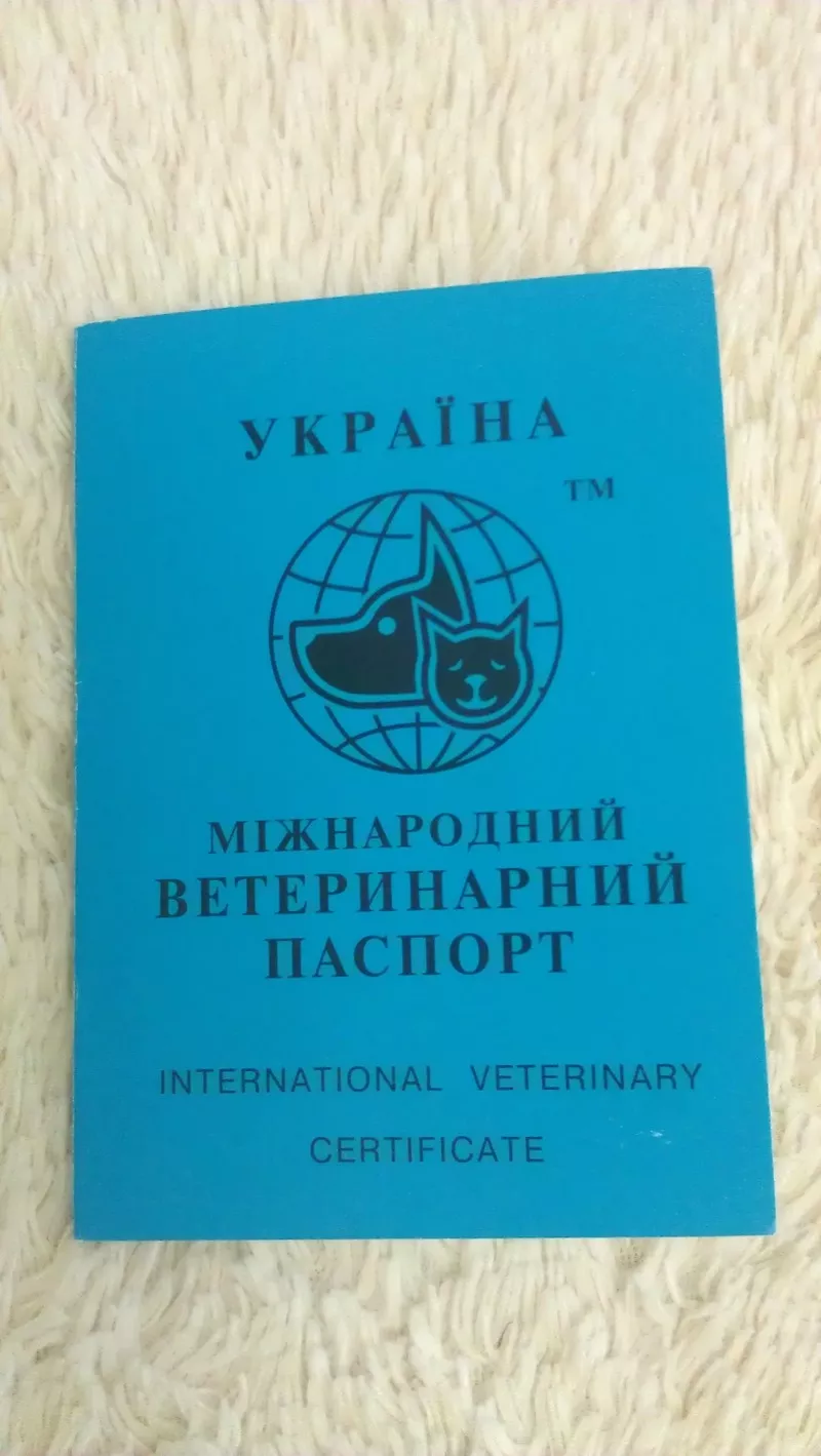Продам Международный Ветеринарный Паспорт
