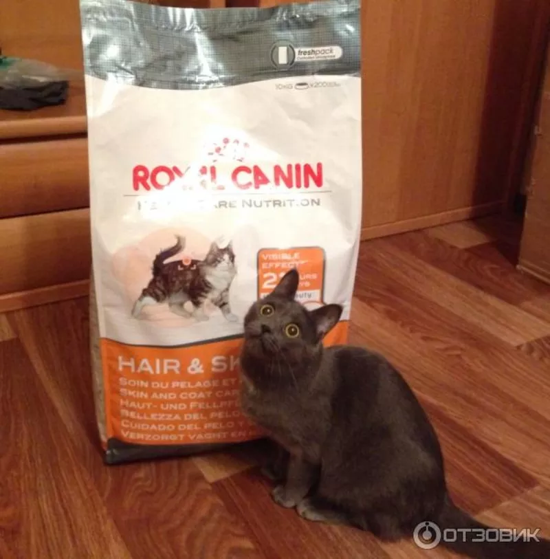 Оригинальные корма для животных фирмы Royal Canin