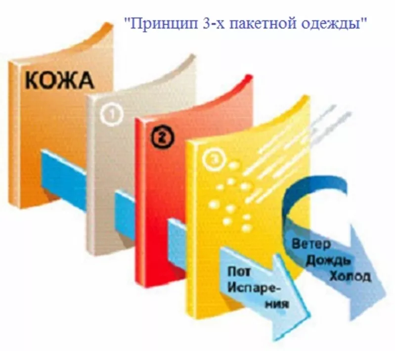 Лучшее Термобелье  хлопковое  (95% хлопок,  5% эластан) (Украина) 8