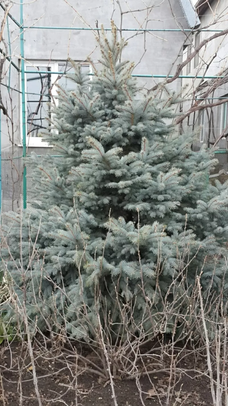 Перевозки по городу, услуги грузчиков 3