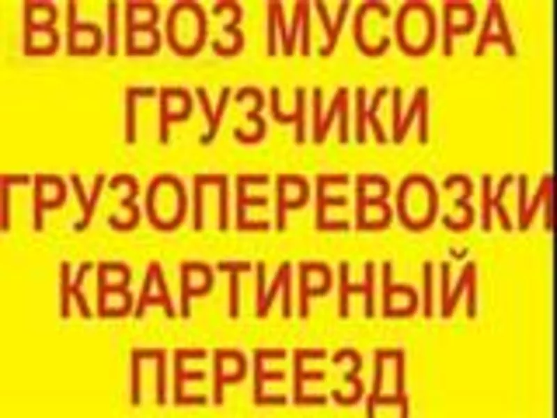 Оперативность и качество,  авто + грузчики. 3