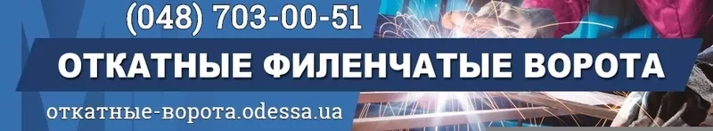 Ворота откатные въездные купить в Одессе 11