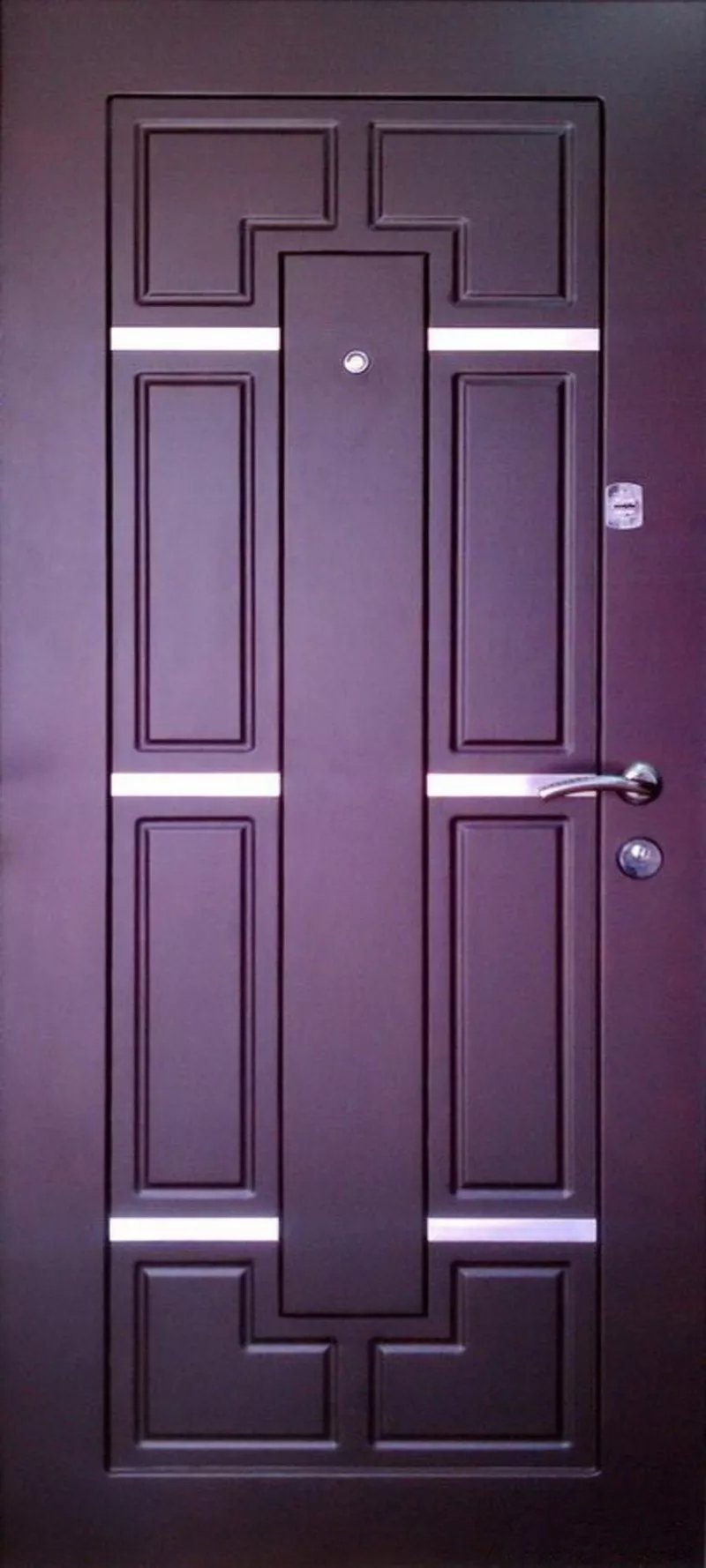 Стильные бронированные входные двери для частного дома и квартиры 4