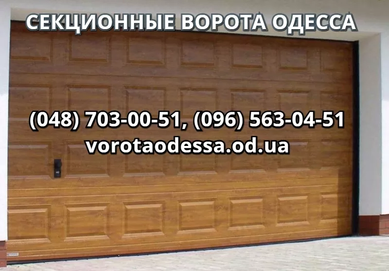 Ворота Одесса: откатные,  распашные,  секционные,  роллетные,  автоматика 14