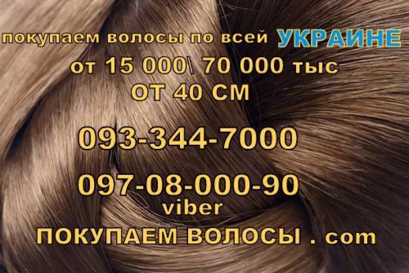 Покупка волос от 24 000 грн. до 70 000 грн. за кг 3