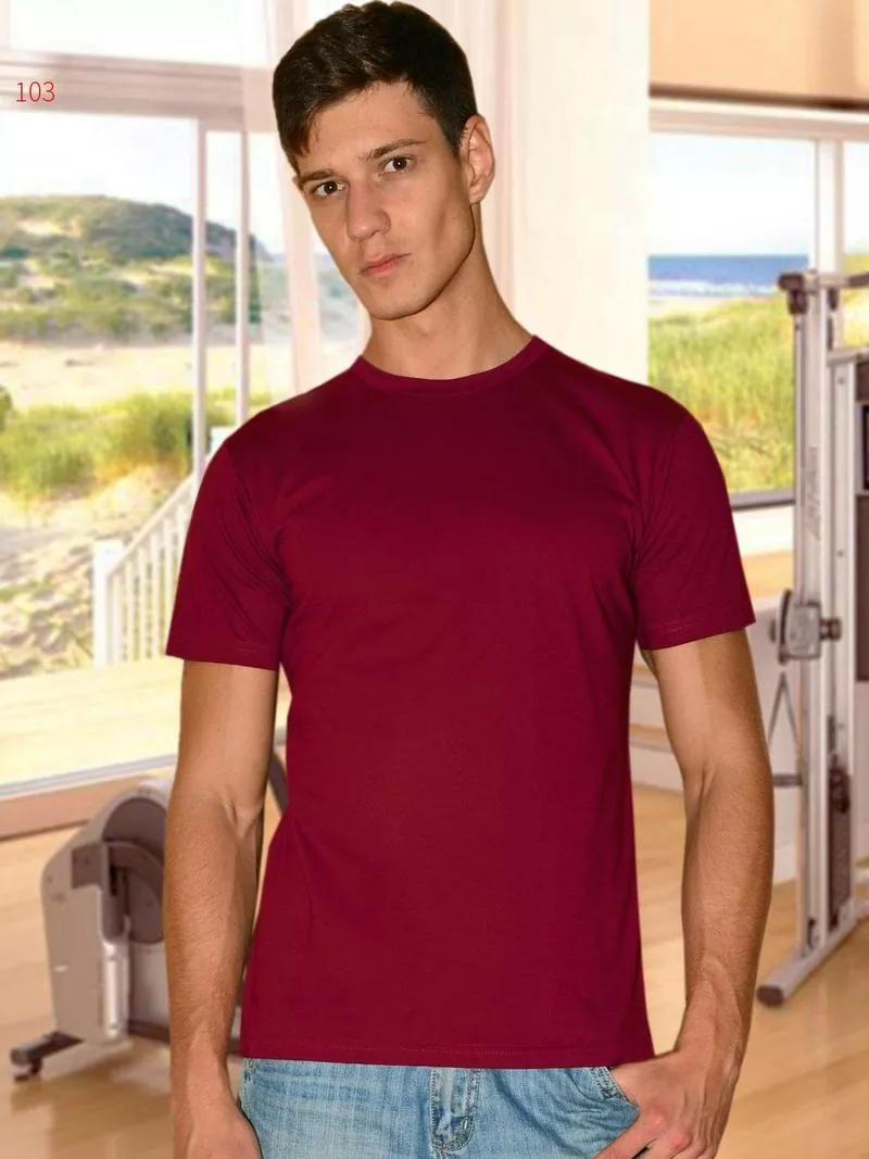 Мужские футболки c коротким рукавом оптом футболки з коротким рукавом 3