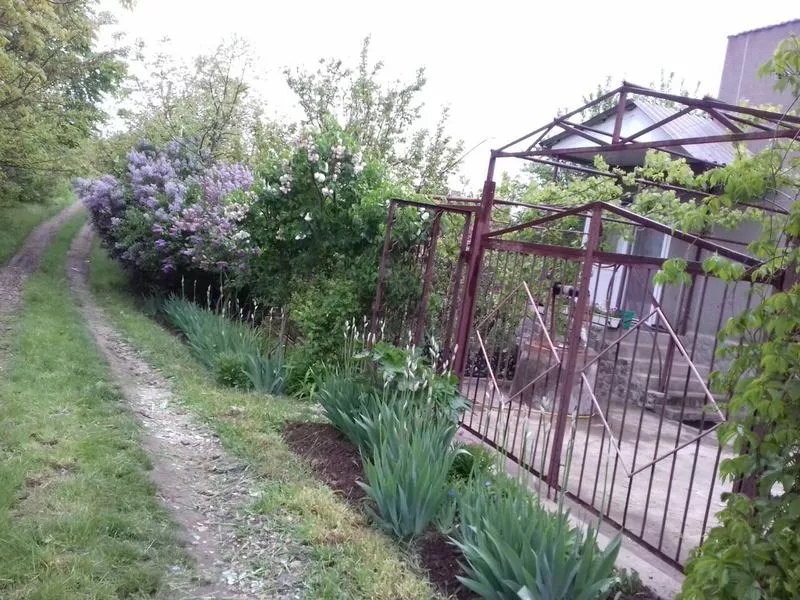  Дача,  сад,  село Кошары,  город Южный,  Одесская область,  продам 10