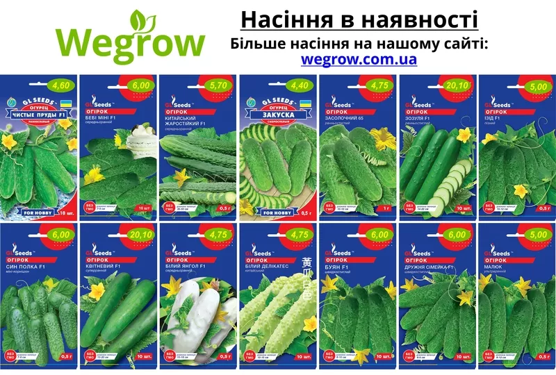 Магазин насіння Wegrow 8