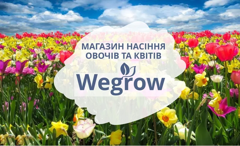 Магазин насіння Wegrow 3