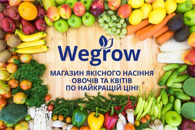 Магазин насіння Wegrow 2