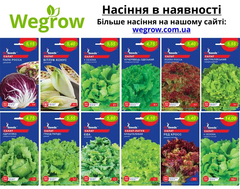 Магазин насіння Wegrow 9