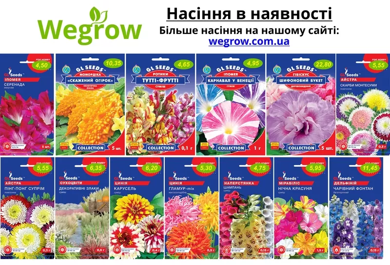 Магазин насіння Wegrow 10