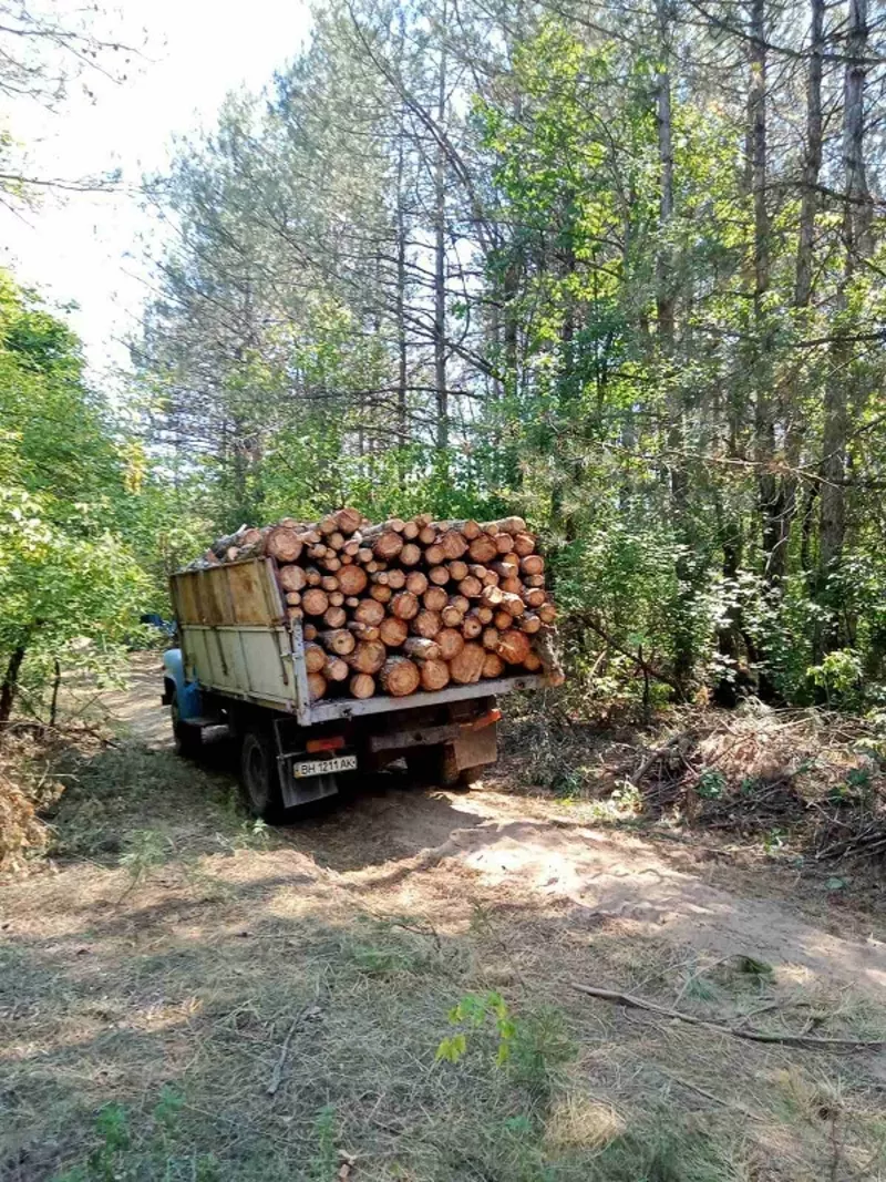 Колотые дрова с доставкой по Одессе и области.  4