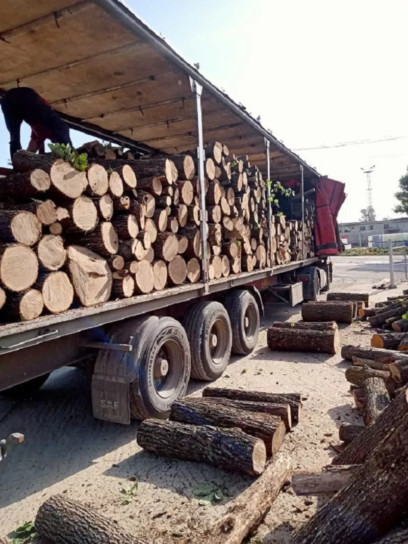 Колотые дрова с доставкой по Одессе и области.  3