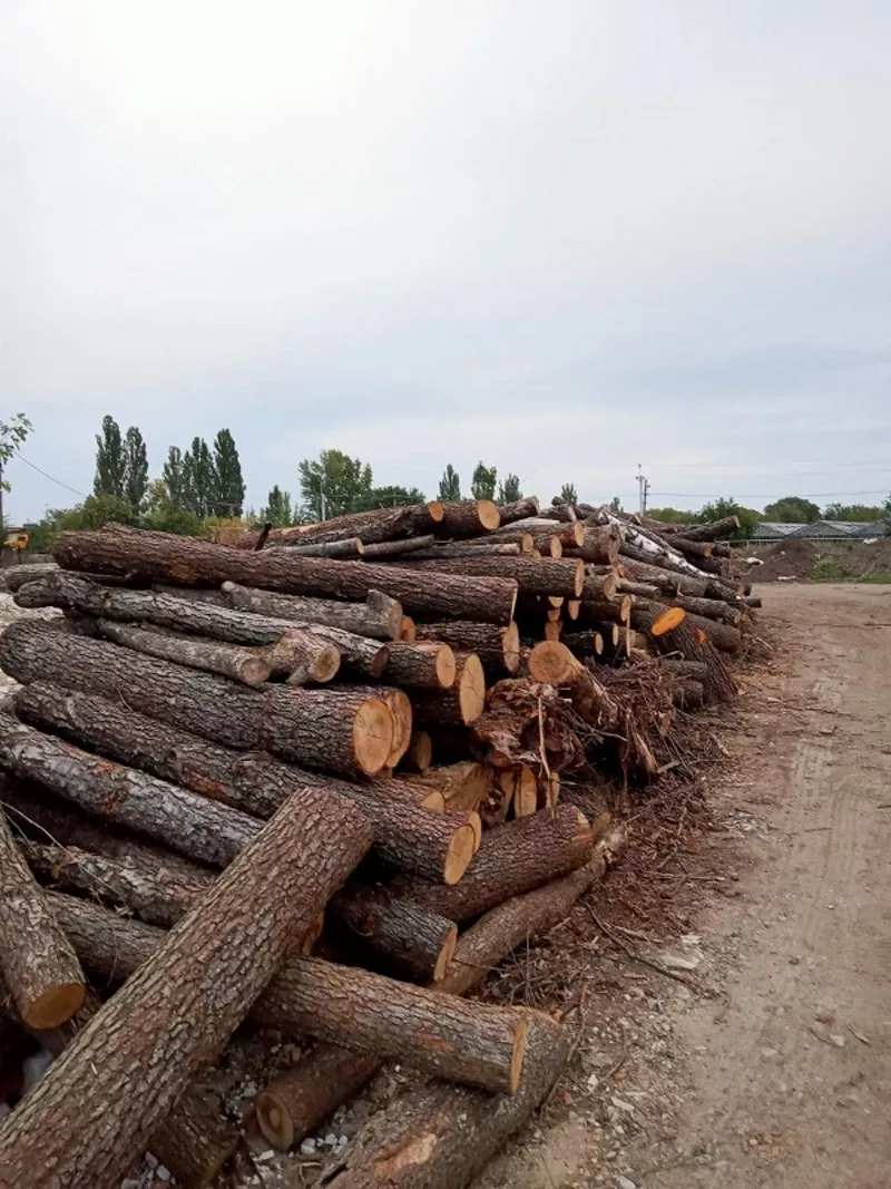 Колотые дрова с доставкой по Одессе и области.  5