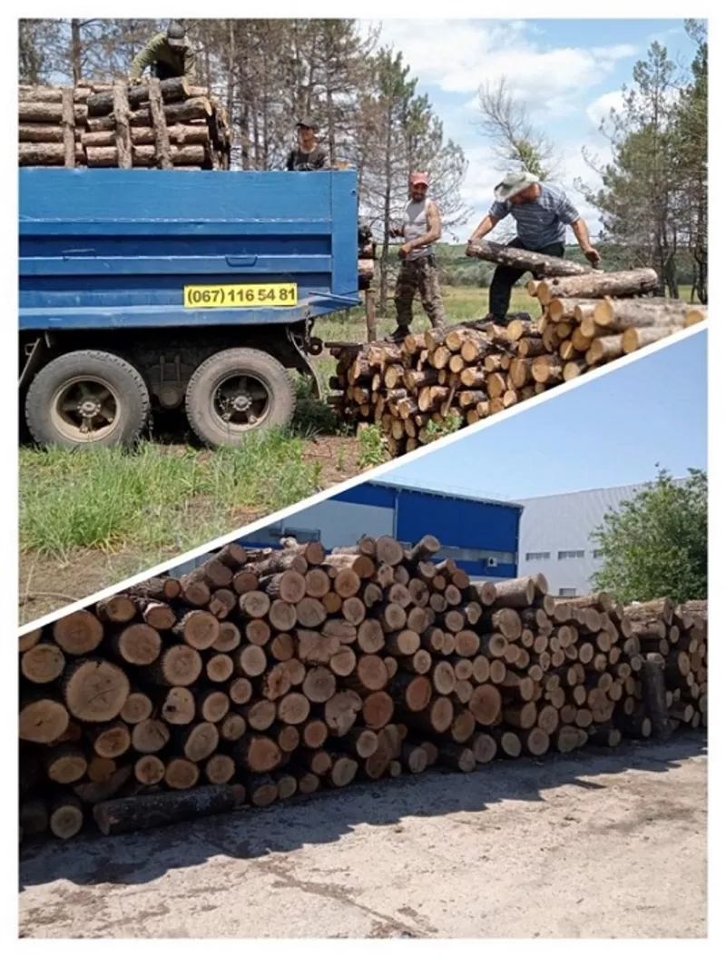 Колотые дрова с доставкой по Одессе и области.  7