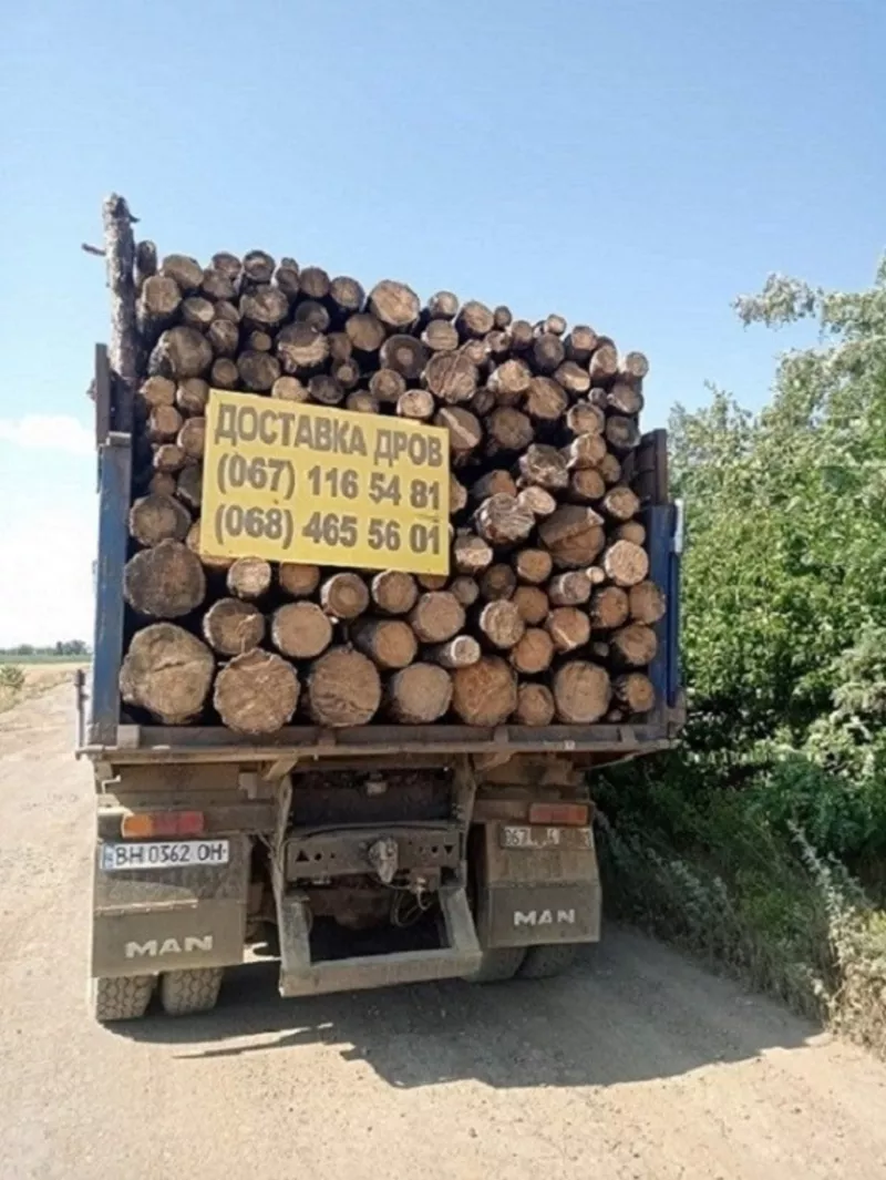Продам дрова дубовые. 