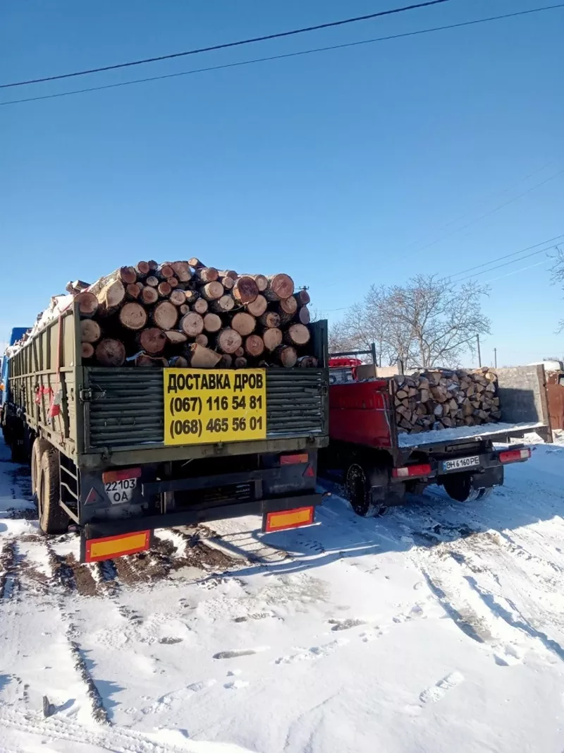 Продам березовые,  сосновые дрова метровки. 