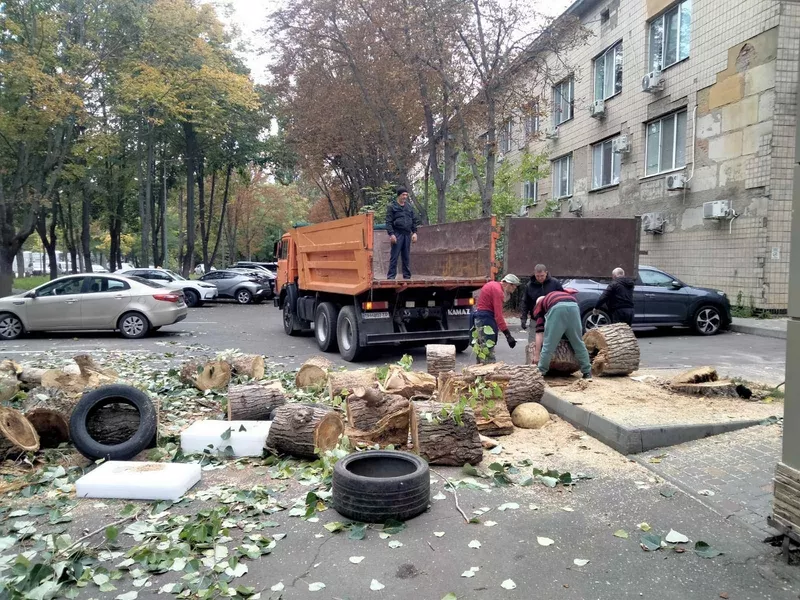 Уборка территории , вывоз мусора, демонтаж , разнорабочие покос травы 2