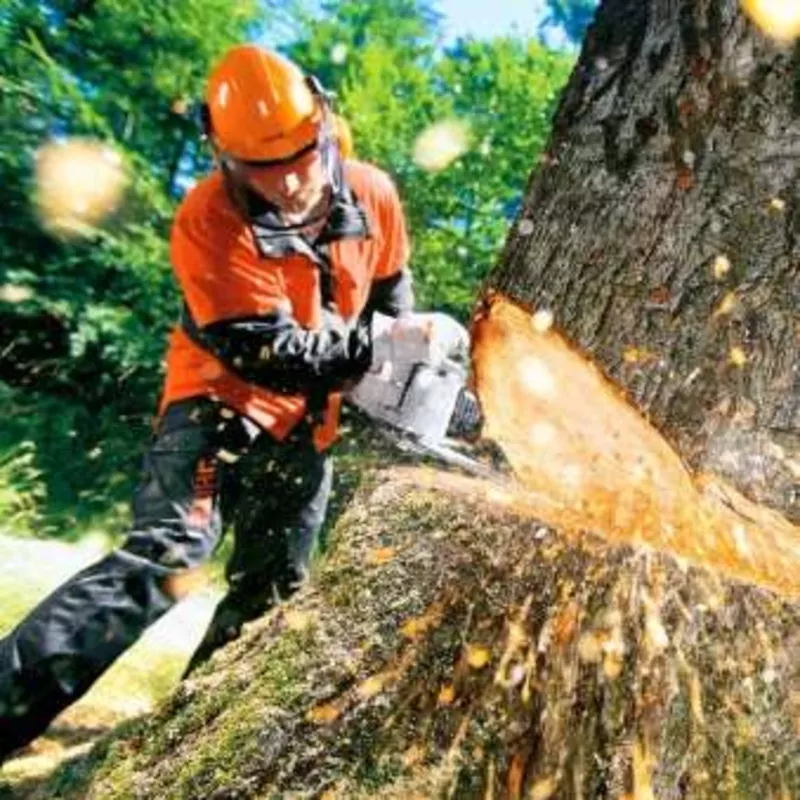 Корчевание пней.обрезка деревьев, сада, спил дерева, уборка территории, участка Одеса 2