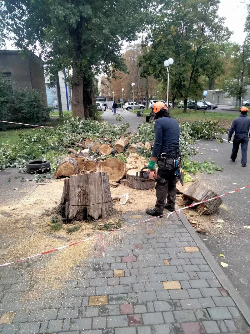 Корчевание пней.обрезка деревьев, сада, спил дерева, уборка территории, участка Одеса